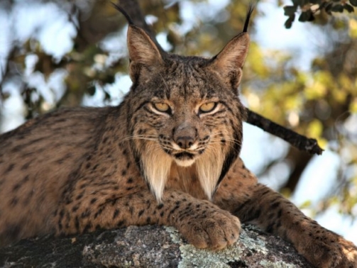 2011_06_19_174-2-1-780x470